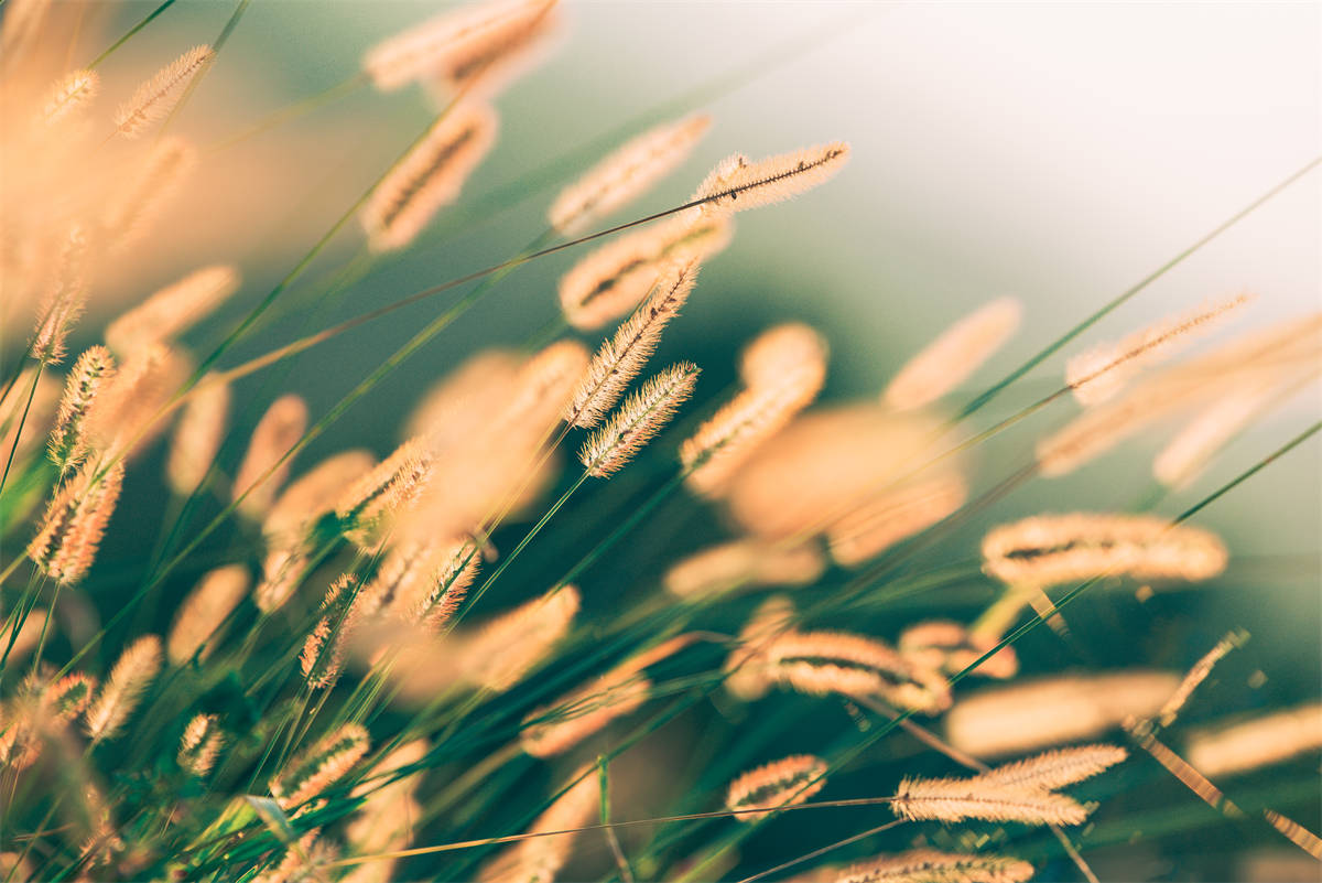 芬尼解密:高溫?zé)岜迷诠I(yè)中的應(yīng)用與發(fā)展