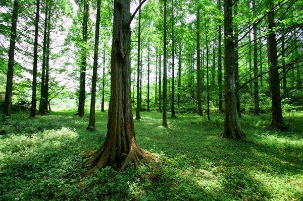 除了外星人入侵地球，你在《三體》中還看到了什么？